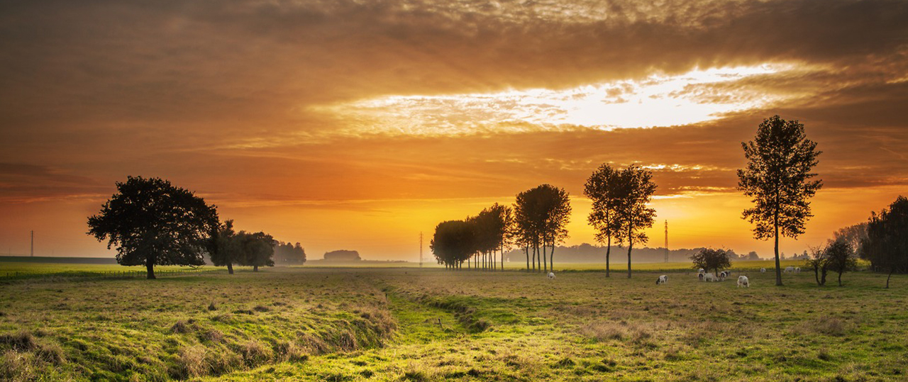 DDOS在线压力测试
