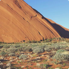 免费cc攻击测试