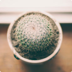 DDOS在线压力测试