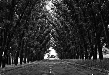 安卓ddos攻击工具