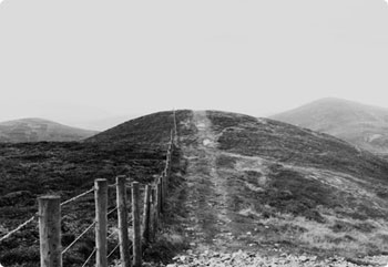 正规的充值渠道求的网站压力测试