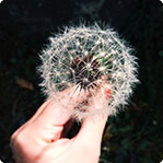 安卓ddos攻击工具